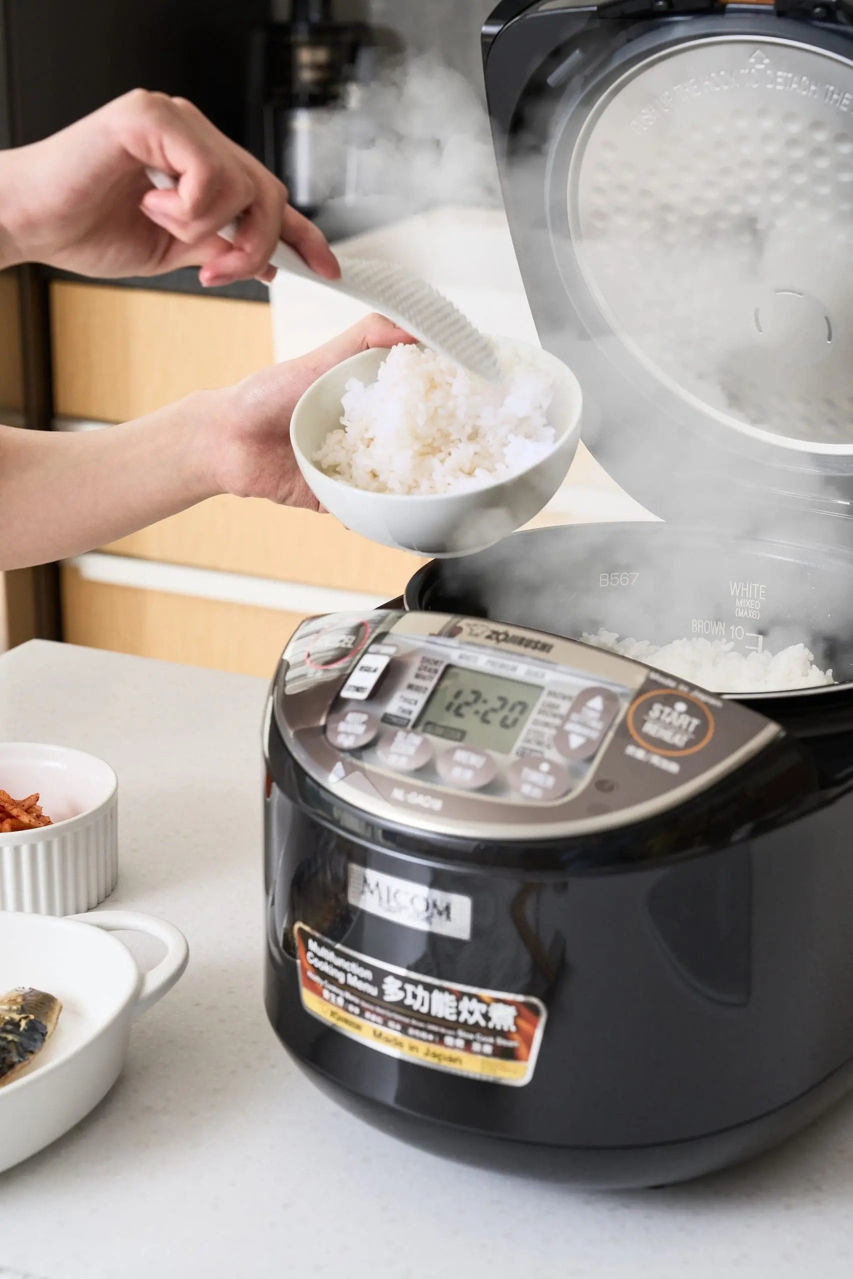 NEW ZOJIRUSHI MICOM Rice Cooker & Warmer NL-GAQ - Made in Japan (AVAIL ...