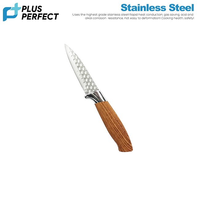 PLUS PERFECT Titanium Pairing Knife