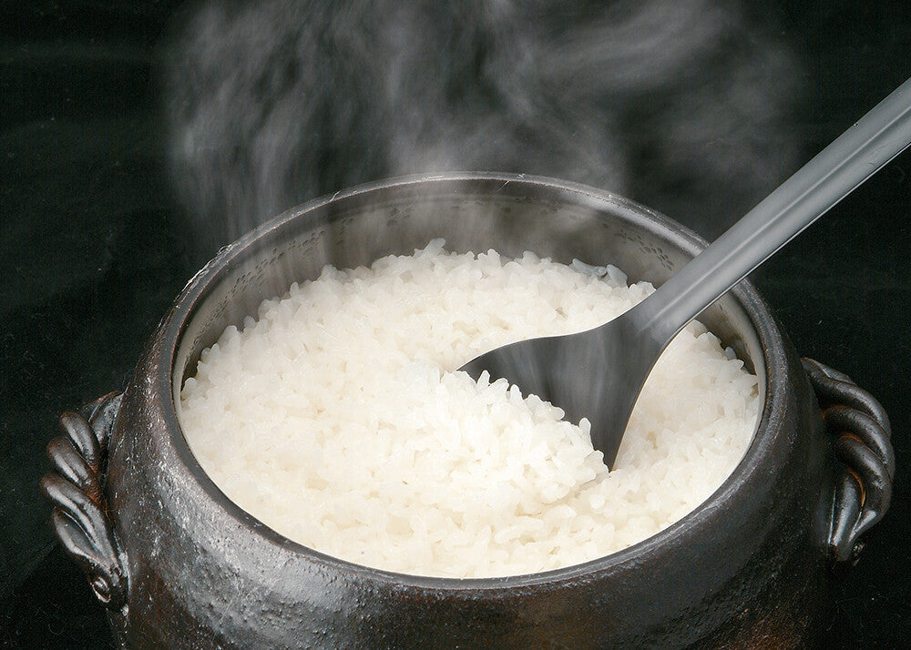 BANKO Earthen Donabe Rice Pot (Multi-Size)